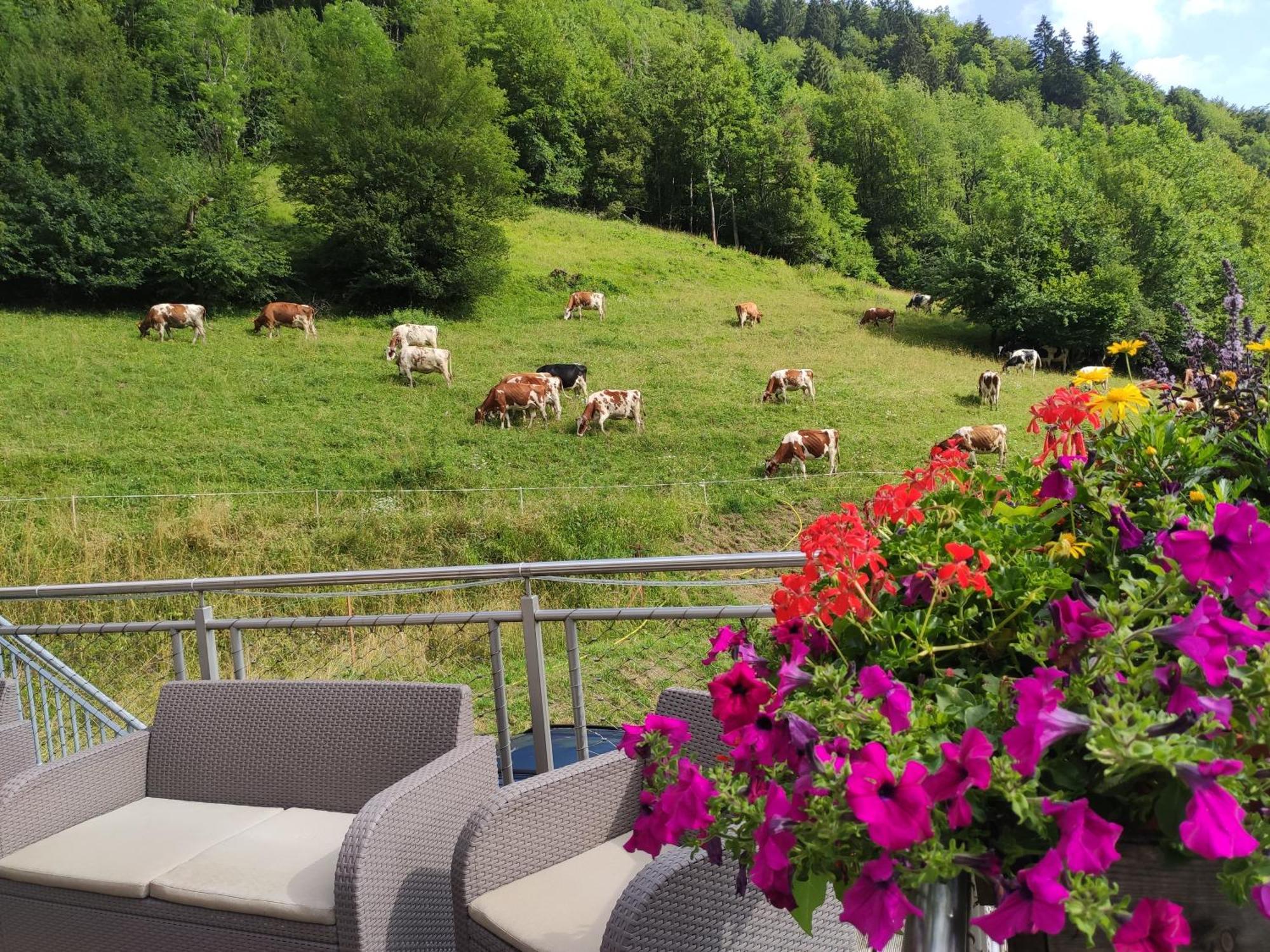 Les Chemins Du Leman Hotell Novel Eksteriør bilde